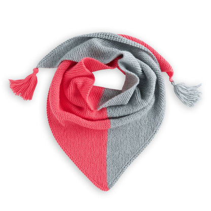 Bernat Beginner Taking Sides Knit Shawl All Variants
