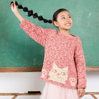 Bernat Purrfect Knit Pullover Purrfect Knit Pullover made using Bernat yarn