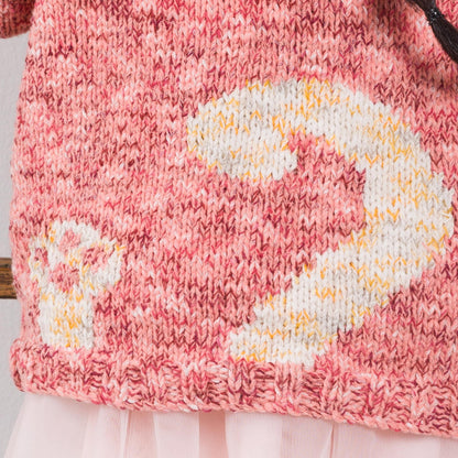 Bernat Purrfect Knit Pullover Purrfect Knit Pullover made using Bernat yarn