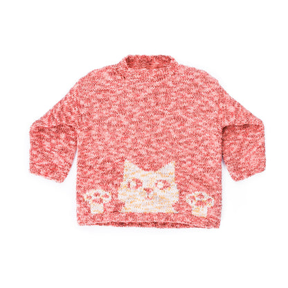 Bernat Purrfect Knit Pullover Purrfect Knit Pullover made using Bernat yarn