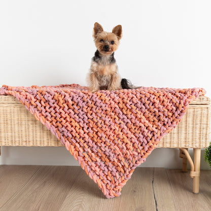 Bernat Easy Peasy Knit Pet Blanket Knit Blanket made in Bernat Plush Big Yarn