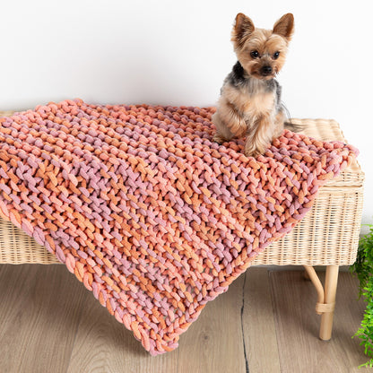Bernat Easy Peasy Knit Pet Blanket Knit Blanket made in Bernat Plush Big Yarn