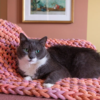 Bernat Easy Peasy Knit Pet Blanket Knit Blanket made in Bernat Plush Big Yarn