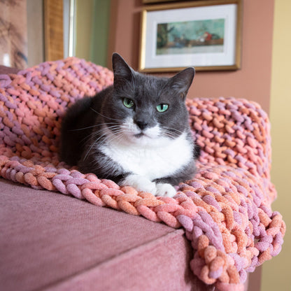 Bernat Easy Peasy Knit Pet Blanket Knit Blanket made in Bernat Plush Big Yarn