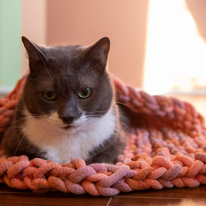 Bernat Easy Peasy Knit Pet Blanket Knit Blanket made in Bernat Plush Big Yarn
