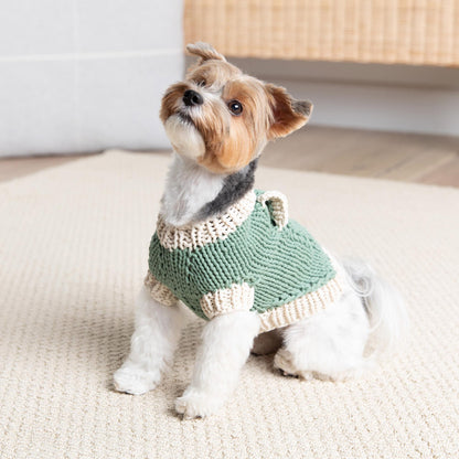 Bernat Classic Knit Sweater for Dogs Knit Pet Sweater made in Bernat Maker Yarn