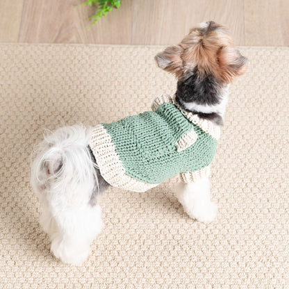 Bernat Classic Knit Sweater for Dogs Knit Pet Sweater made in Bernat Maker Yarn