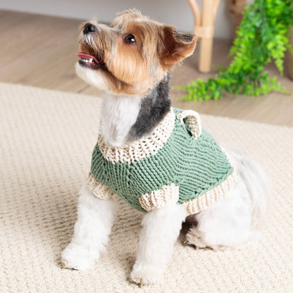 Bernat Classic Knit Sweater for Dogs Knit Pet Sweater made in Bernat Maker Yarn