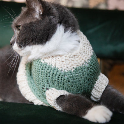 Bernat Classic Knit Sweater for Dogs Knit Pet Sweater made in Bernat Maker Yarn