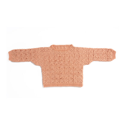 Caron Crochet Lace Motif Pullover Crochet Lace Motif Pullover made using Caron yarn
