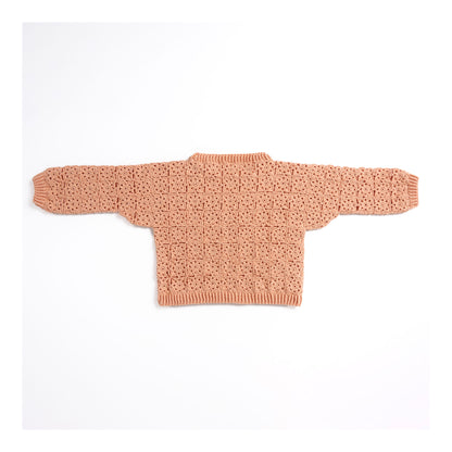 Caron Crochet Lace Motif Pullover Crochet Lace Motif Pullover made using Caron yarn