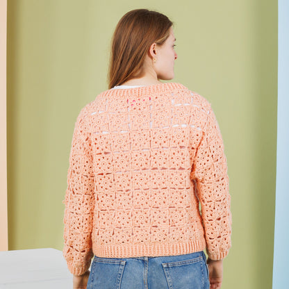 Caron Crochet Lace Motif Pullover Crochet Lace Motif Pullover made using Caron yarn