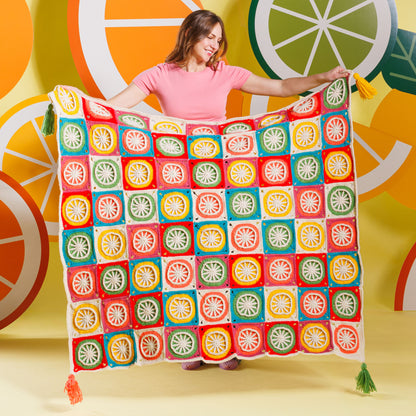 Caron Fresh Squeezed Crochet Blanket Fresh Squeezed Crochet Blanket made using Caron yarn