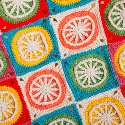 Caron Fresh Squeezed Crochet Blanket Fresh Squeezed Crochet Blanket made using Caron yarn