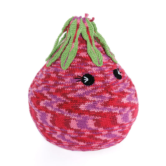 Crochet Up-Beet Pillow made using Caron yarn