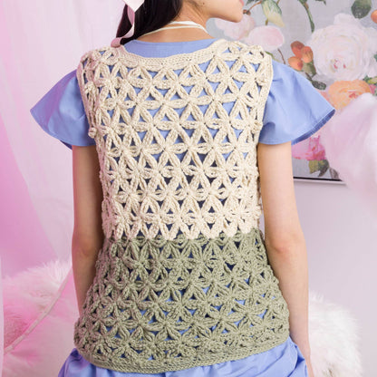 Caron Crochet Flower Petals Crochet Top Crochet Flower Petals Crochet Top made using Caron yarn