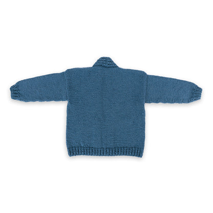 Caron All Day Big Knit Cardigan All Day Big Knit Cardigan made using Caron yarn