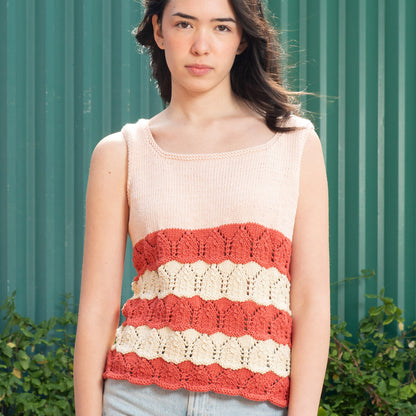 Caron Color Block Knit Tank Knit Tank made in Caron Colorama Bamboo Blend Yarn