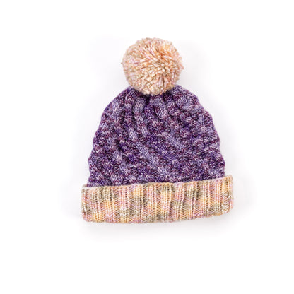 Caron Gleamridge Knit Hat Version 1