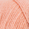 Sea Coral