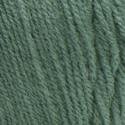 Red Heart Super Saver Yarn Light Sage