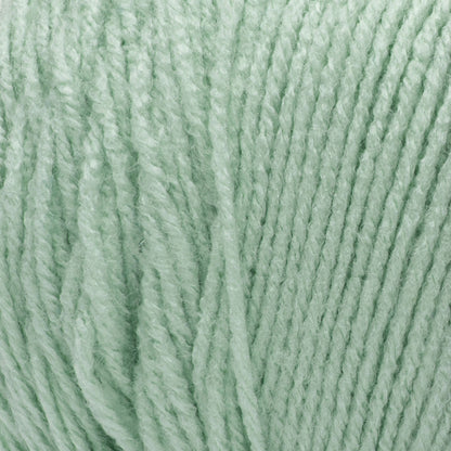 Red Heart Super Saver Yarn - Discontinued Shades Honeydew