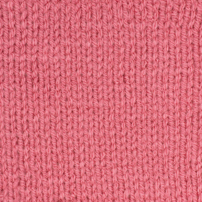 Red Heart Super Saver Yarn Light Raspberry