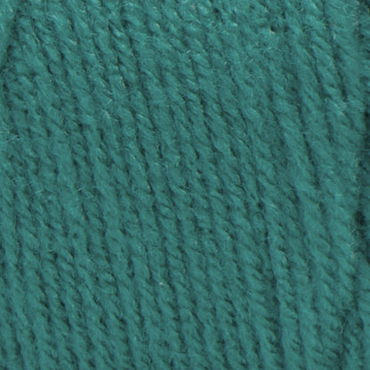 Red Heart Super Saver Yarn Jade