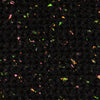 Neon Fleck