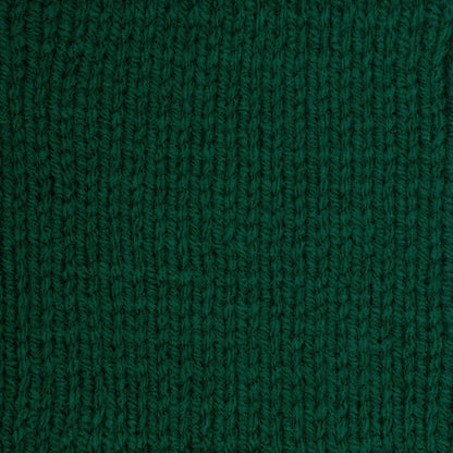 Red Heart Super Saver Yarn Paddy Green