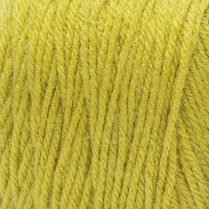 Red Heart Super Saver Yarn Kiwi