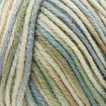 Red Heart Super Saver Yarn Aspen Print