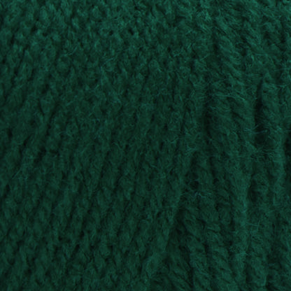 Red Heart Super Saver Yarn Paddy Green