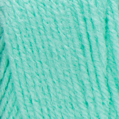 Red Heart Super Saver Yarn Minty