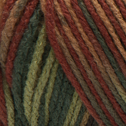Red Heart Super Saver Yarn Fall