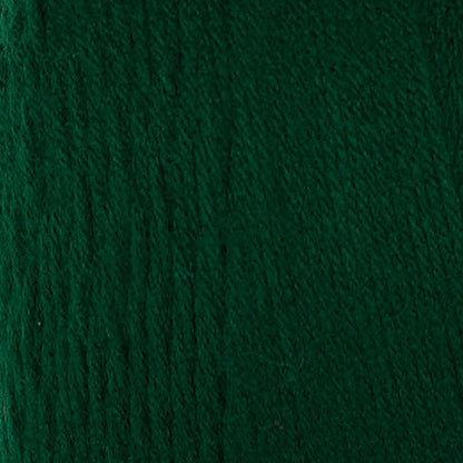Red Heart Super Saver Yarn (1000g/35.3oz) Hunter Green