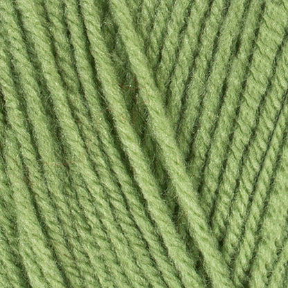 Red Heart Super Saver Yarn - Discontinued Shades Guava