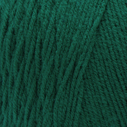 Red Heart Super Saver Jumbo Yarn Paddy Green