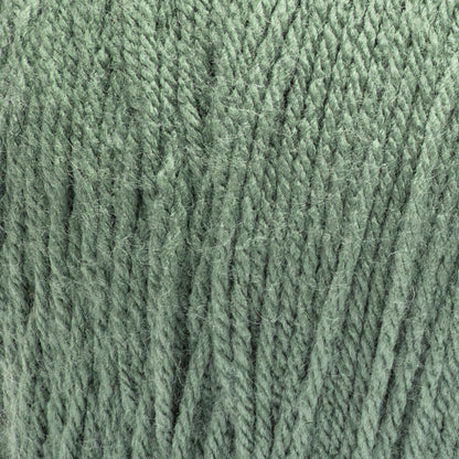 Red Heart Super Saver Jumbo Yarn Light Sage