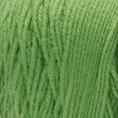 Red Heart Super Saver Jumbo Yarn Spring Green