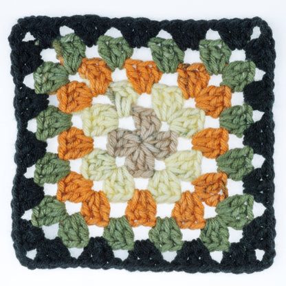 Red Heart All In One Granny Square Yarn (250g/8.8oz) Black - Amber Moss