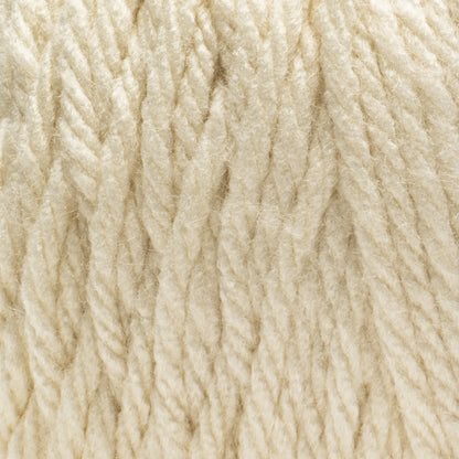 Red Heart Super Easy Yarn (250g/8.8oz) Aran