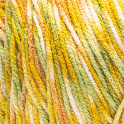 Red Heart Super Saver Jazzy Yarn (250g/8.8oz) Citrus Combo