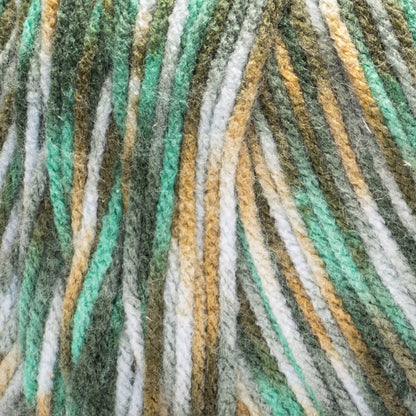 Red Heart Super Saver Jazzy Yarn (250g/8.8oz) Meadow Medley