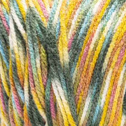 Red Heart Super Saver Jazzy Yarn (250g/8.8oz) Flower Fields