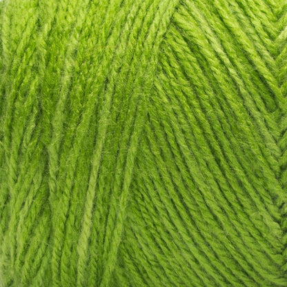 Red Heart Super Saver DK Yarn (150g/5.3oz) Green