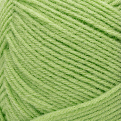 Red Heart Comfort Yarn - Discontinued Shades Melon Green