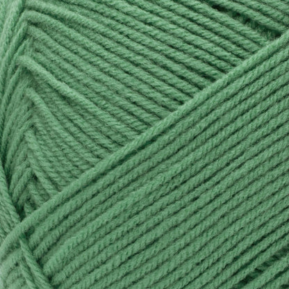 Red Heart Comfort Yarn - Discontinued Shades Green Pea