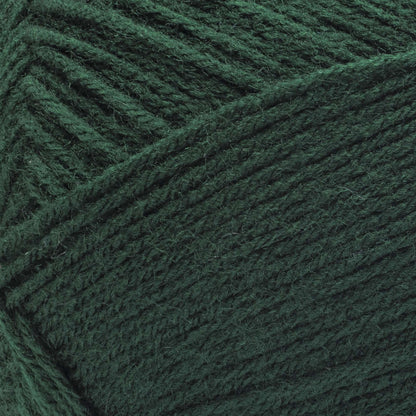 Red Heart Comfort Yarn - Discontinued Shades Evergreen