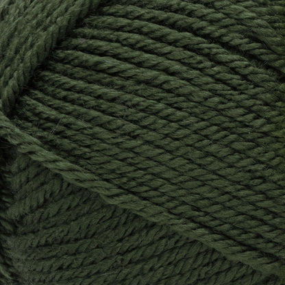 Red Heart Soft Yarn - Discontinued Shades Dark Leaf